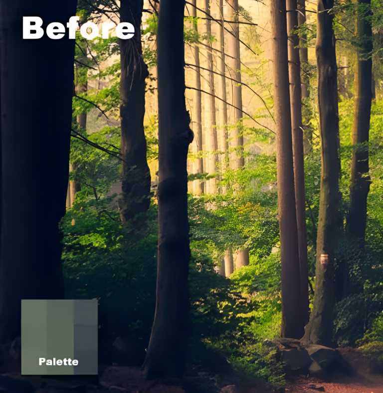 New-Project-61_enhanced